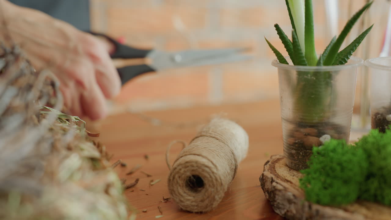 Primo piano della mano di un fioraio con unghie rosse che tira una corda di iuta da una bobina su un tavolo di legno accanto a una decorazione di una pianta grassa in un bicchiere di plastica, mentre prepara materiali naturali per un processo creativo di realizzazione di ghirlande rustiche