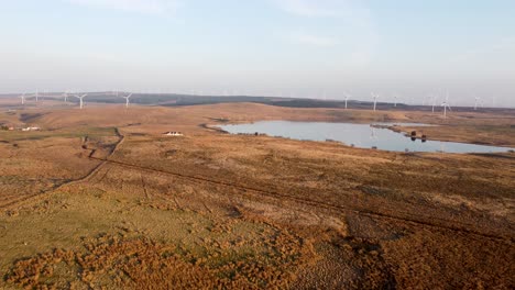 Wind-turbines-over-moor-in-Scotland-during-golden-hour