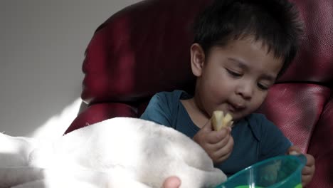 An-18-month-old-baby-boy-sits-on-a-sofa,-happily-eating-sliced-apples,-symbolizing-the-stages-of-growing-up-and-developing-independence