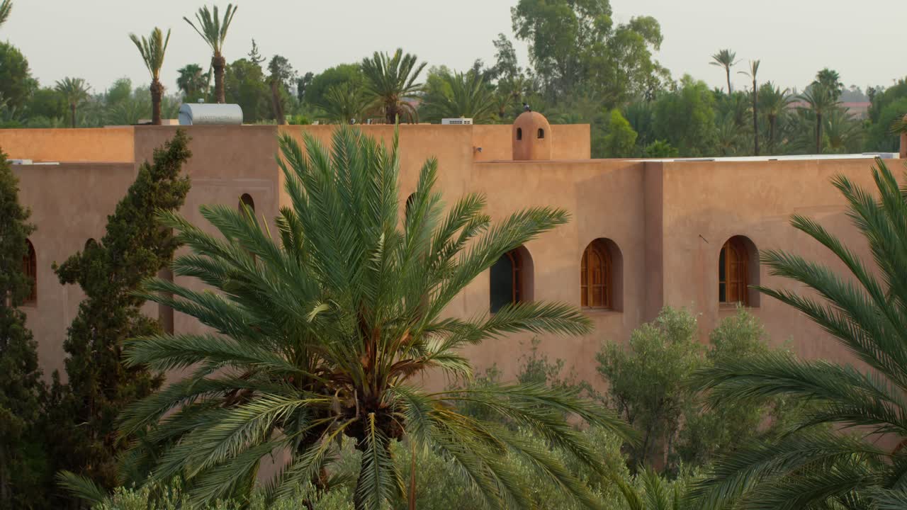 Static shot of geometric Moroccan building surrounded by lush palm trees during warm golden hour light in Marrakech, Morocco, highlighting nature and architecture