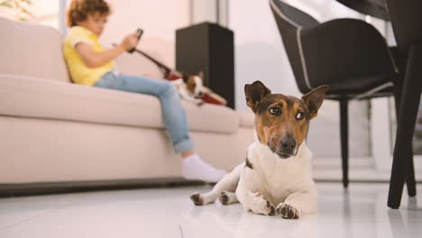 camera focuses on a dog lying on the floor, a blond boy sitting on the sofa using smartphone next to his other dog in the background