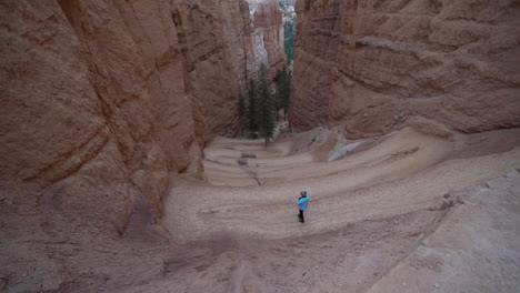 Bryce-Canyon-National-Park-Utah-USA,-Woman-on-Wall-Street-Hiking-Area,-Navajo-Loop-Trail,-High-Angle-View