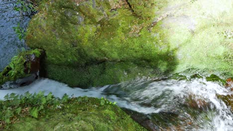 Flowing-Waterfall-over-Mossy-Rocks-in-New-Zealand-Jungle-Nature-Reserve