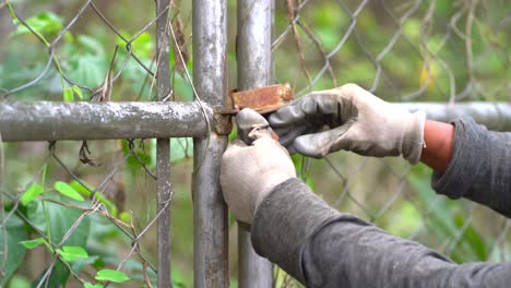 Hands-closing-padlock-on-gate