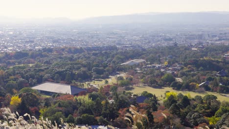 la mejor vista en nara