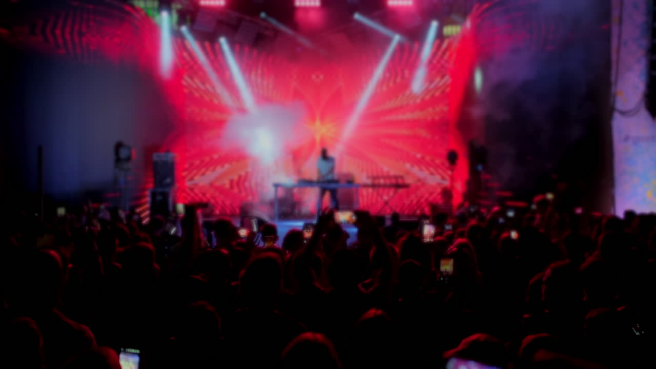 Folla a un concerto