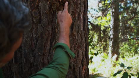 Father and son touching tree trunk in the park