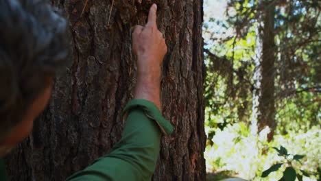 father and son touching tree trunk in the park