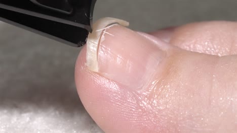 side-angle close-up of a long big toenail being trimmed using a black nail clipper tool