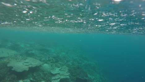 shot of rain falling about water and below while snorkelling in the maldives