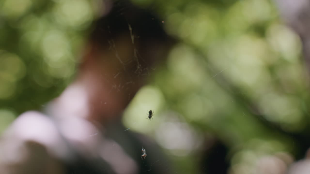 blurry view of man loosening headband and wrapping it around palm behind cobweb with spider during forest survival training, focus shifting between tangled web and focused adjustment motion