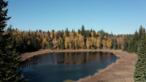 Eine-Filmische-Ansicht-Eines-Kleinen-Sees-Während-Der-Herbstsaison,-Der-Sich-Langsam-In-Richtung-Wasser-Bewegt