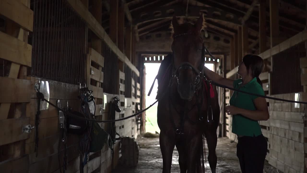 mujer arreglando un caballo en un establo