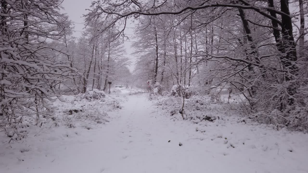 La riserva naturale delle sorgenti blu in Polonia durante un inverno nevoso - scatto panoramico.