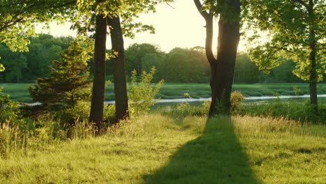 drone pulling back from river slowly in the golden evening light with bugs swirling around