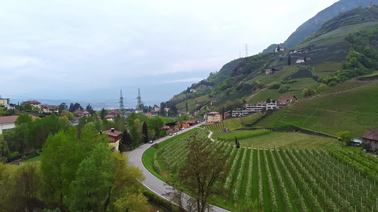 Drone pulls back over terraced Vitis vinifera vineyards, winding roads, and hillside homes beneath Castel Roncolo in Renon, nestled in the alpine foothills of Trentino-Alto Adige