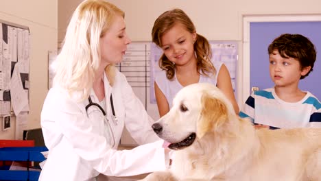 vet and children stroking a dog