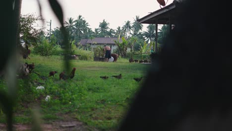 rural scene in a tropical village