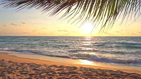 The-branch-of-a-coconut-palm-stretches-across-the-top-of-the-frame-as-the-sunsets-into-the-ocean-horizon