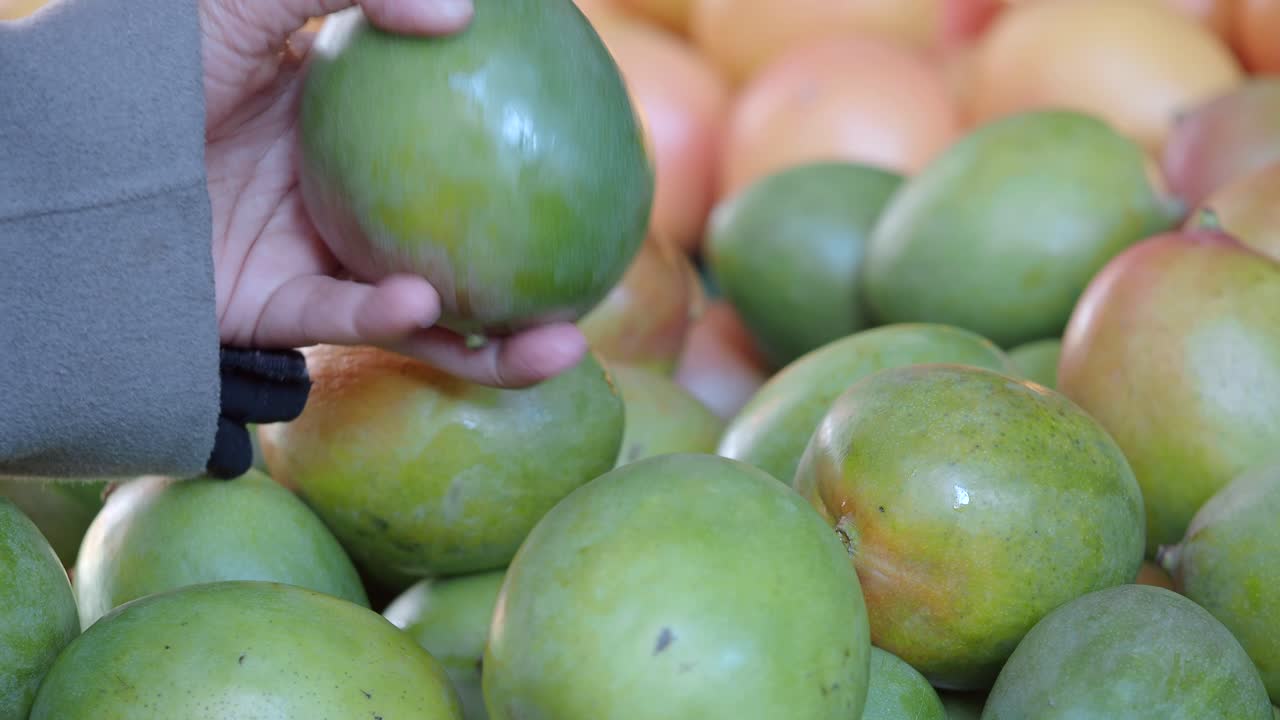 Woman selecting mangoes at a market