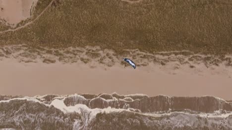 Aerial View of Kiteboarding on the Beach