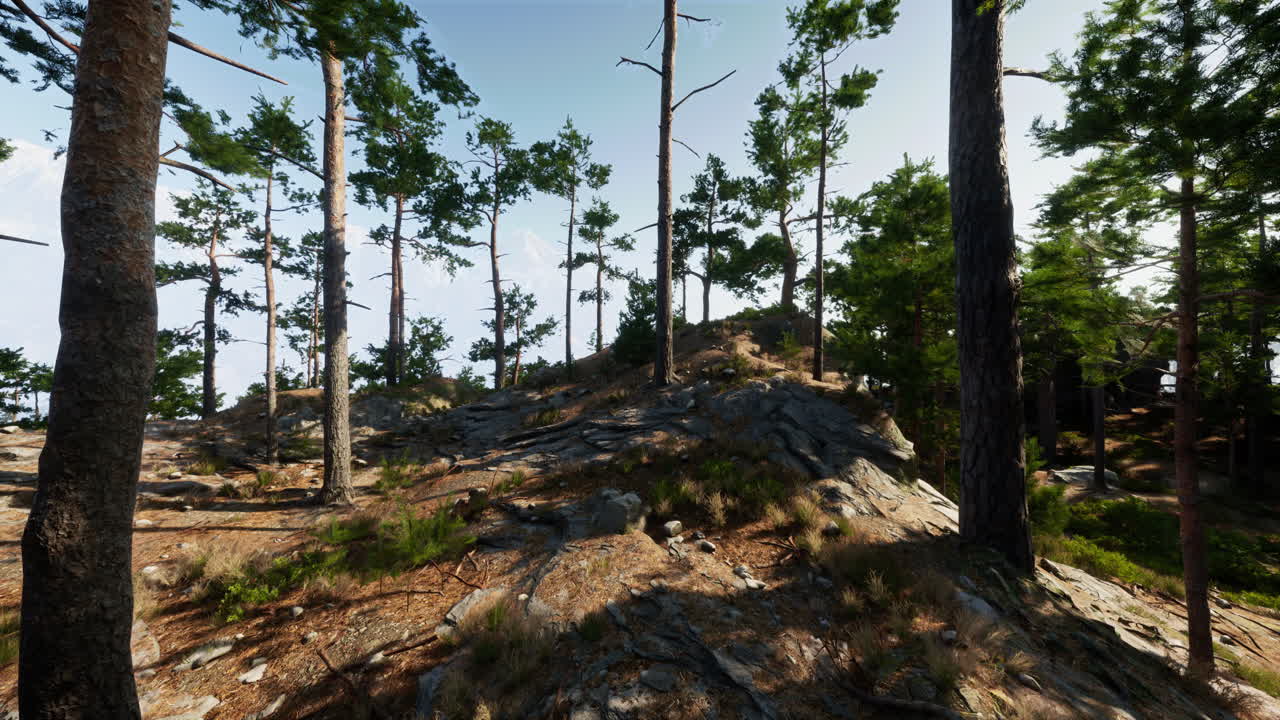 una hermosa escena forestal con altos pinos y montañas en la distancia