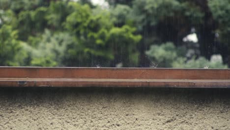 Rainfall splashing on garden wall, copy title space tree background