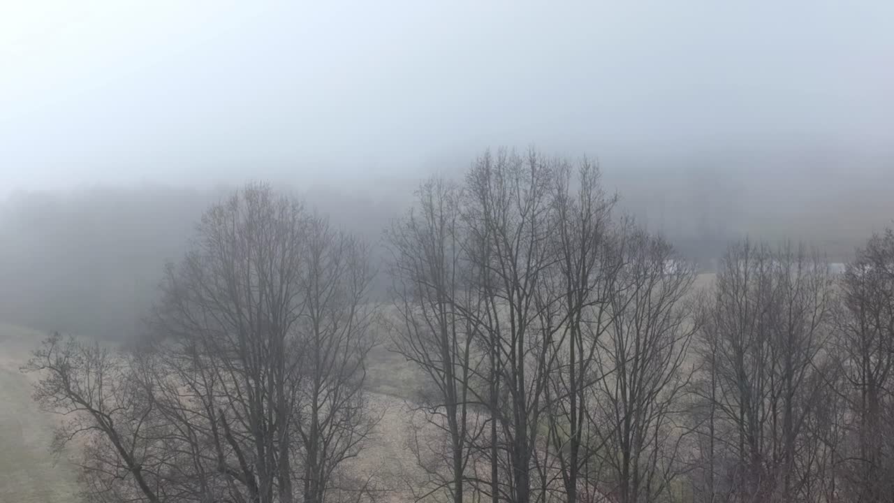invierno aéreo y niebla sobre las copas de los árboles en el campo en el condado de yadkin nc, carolina del norte