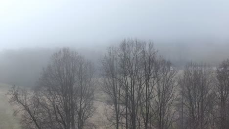 aerial winter and fog over treetops in field in yadkin county nc, north carolina