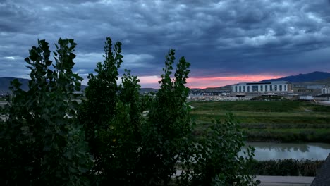 subir por encima de un árbol para revelar un atardecer tormentoso en un vecindario suburbano