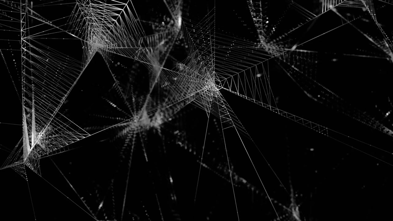 Abstract Black and White Intricate Geometric Network Background