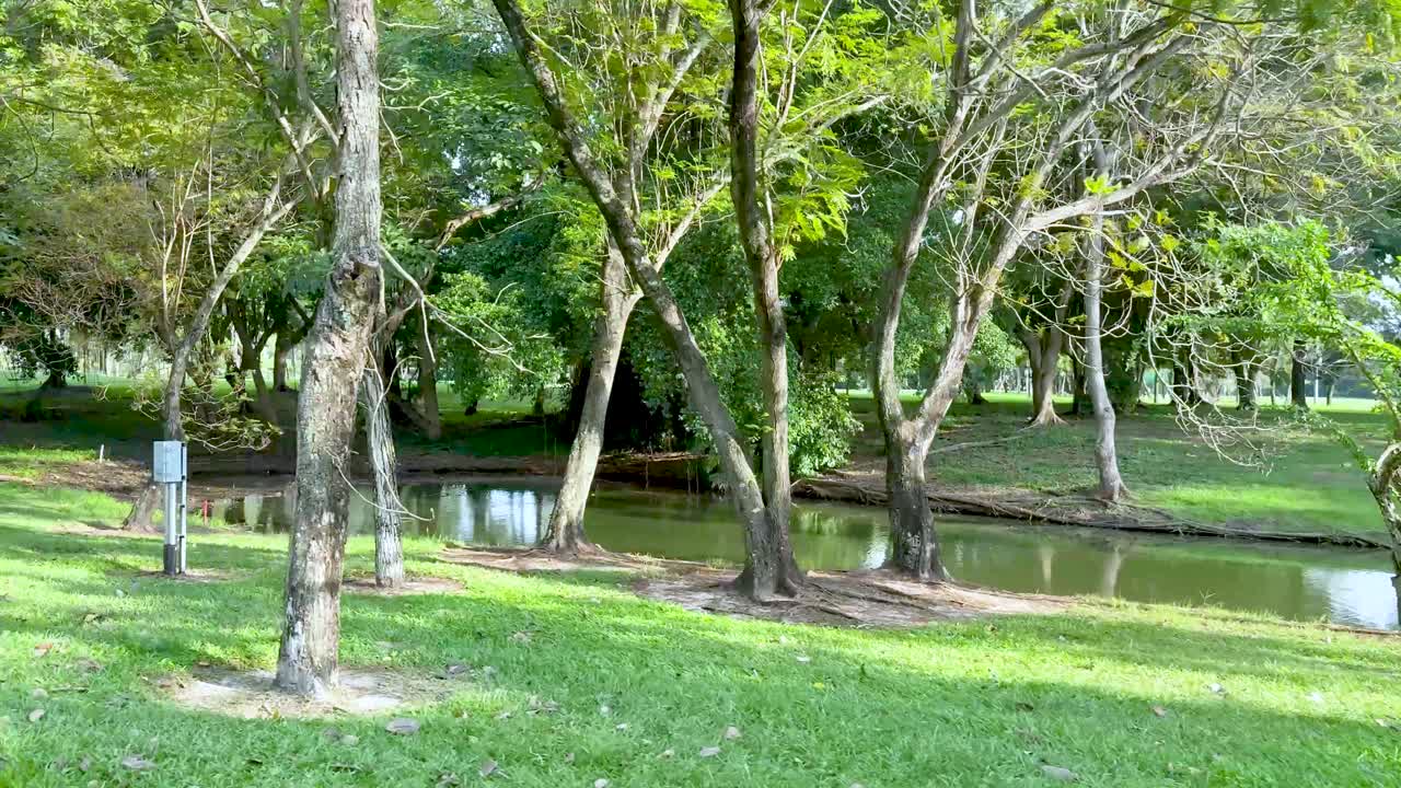 пышная зелень и спокойная вода на поле для гольфа