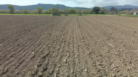 antena baja volando hacia adelante sobre el campo después de la cosecha