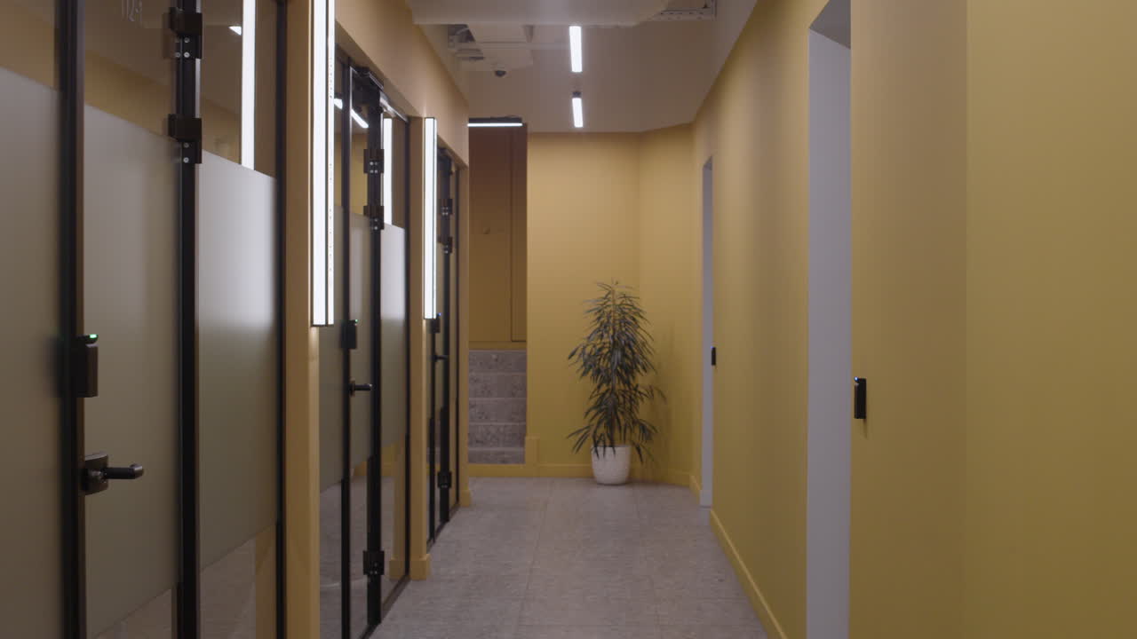 Interior of a hallway with doors and plant