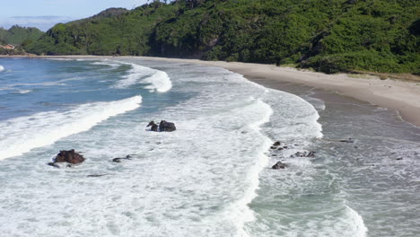 dron fly over a beach area located in the north patagonia, with a olivillo forest