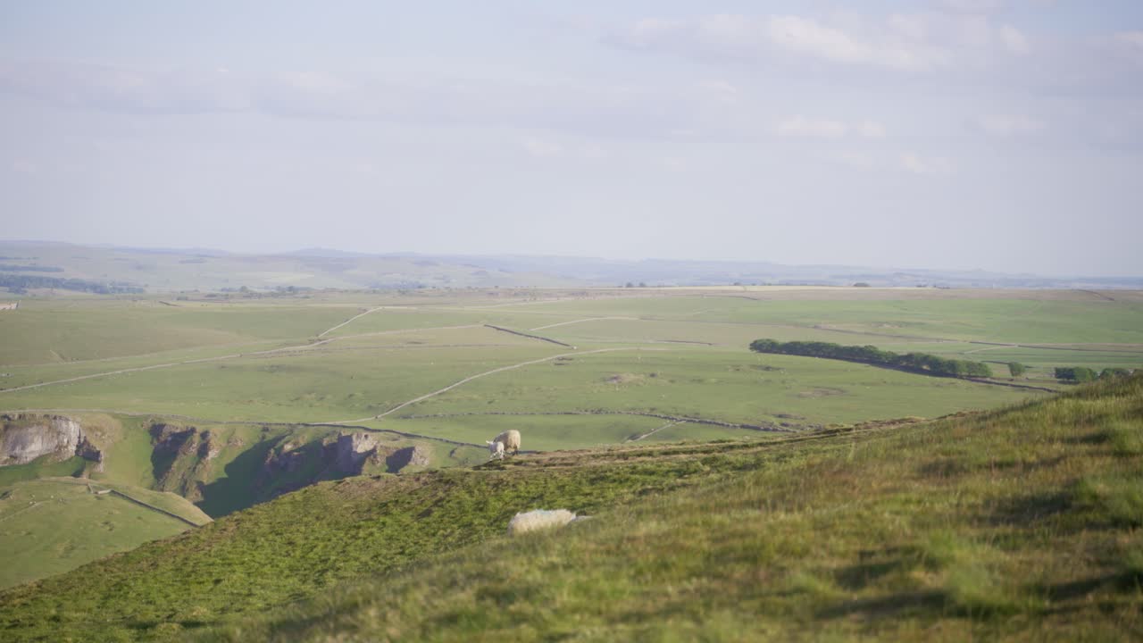 disparo de mano de tres ovejas en la distancia en la parte superior de mam tor, castleton, peak district, inglaterra