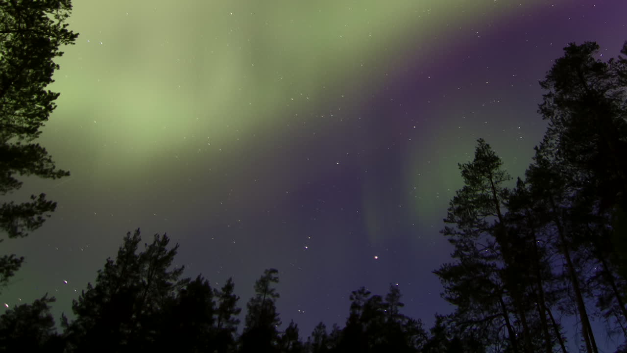 panorámica timelapse de la aurora boreal bailando sobre un claro del bosque.
