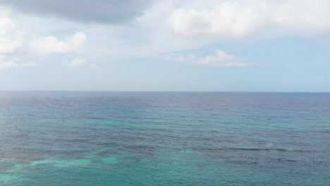 flying over trees to the  caribbean sea