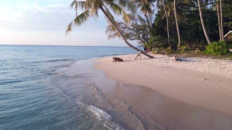 Chica-De-Yoga-Hacer-Ejercicio-Físico-Bajo-Una-Palmera