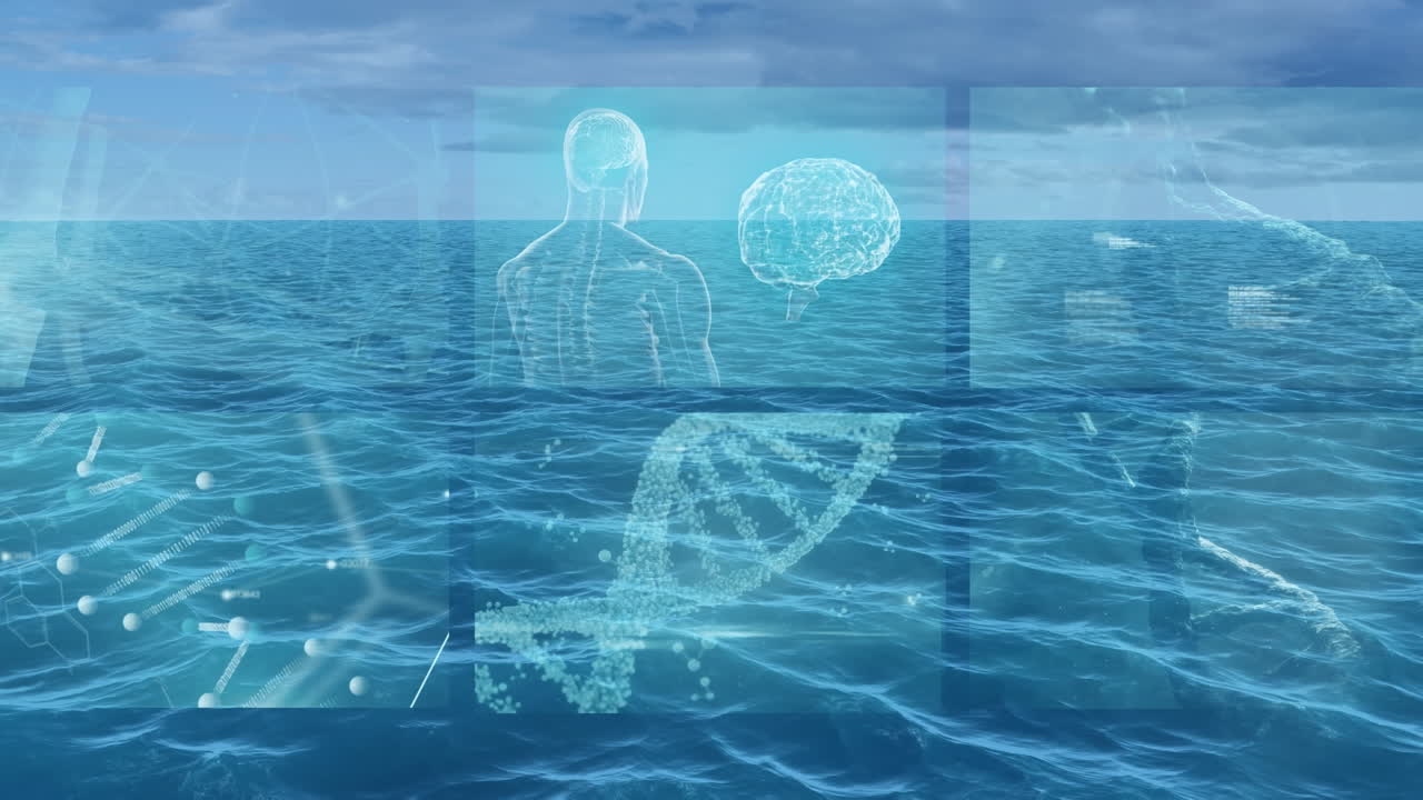 animação de dados diversos em ecrãs digitais sobre paisagens marinhas