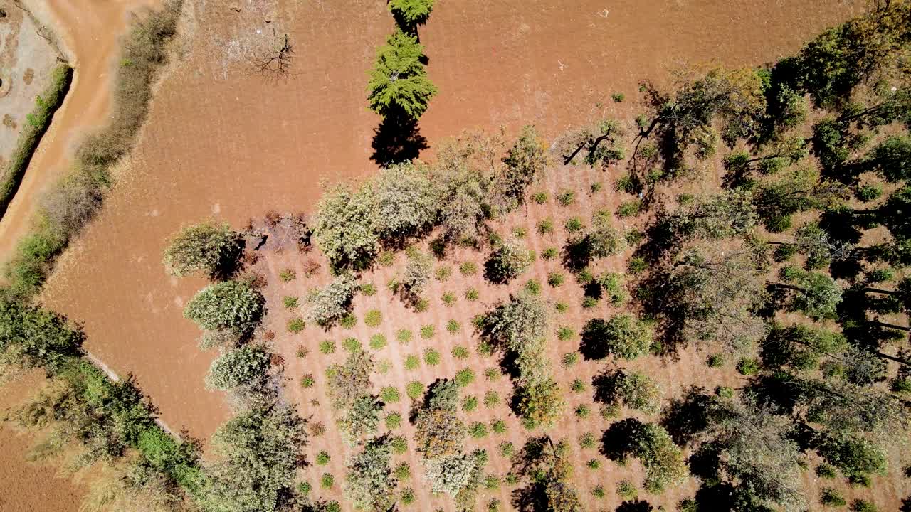케냐의 시골 마을에서 킬리만자로가 배경입니다.