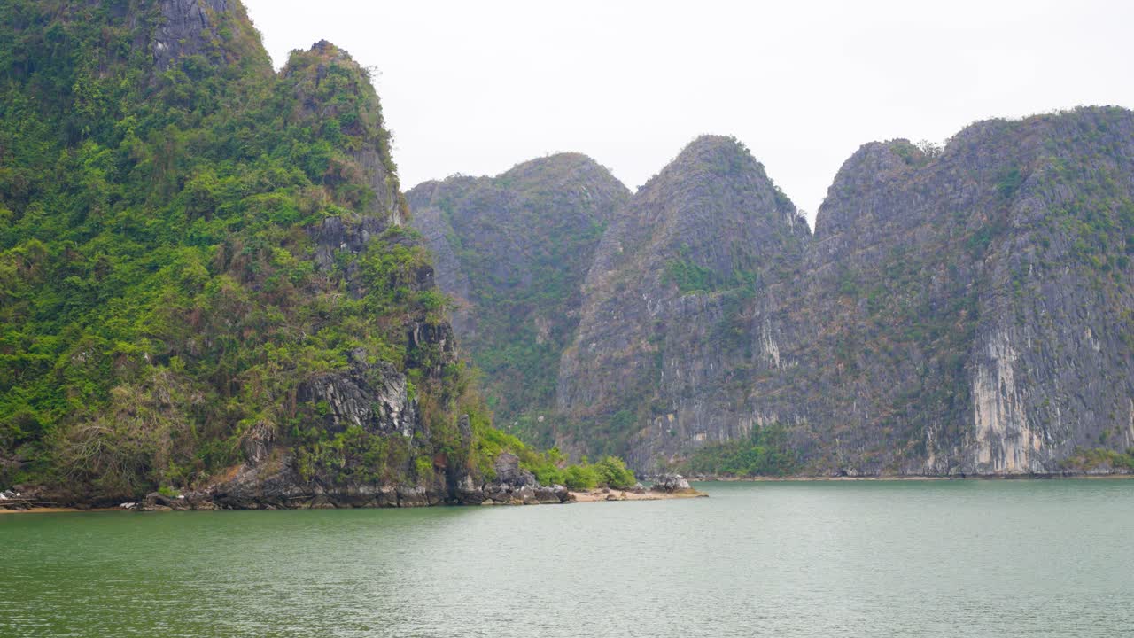 Limestone cliff face with scattered vegetation rises from jade-green waters, showcasing Ha Long Bay's raw geological beauty and weathered rock formations against a misty horizon