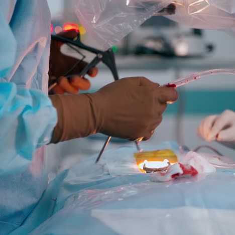 surgery process. doctor in sterile gloves with medical instruments. hands in gloves of a surgeon and assistant. close-up.