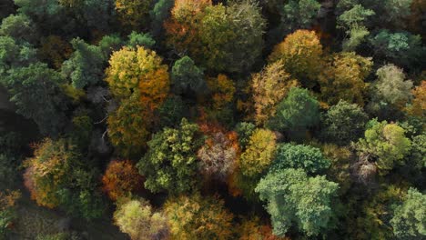 Vista-Aérea-Movimiento-Hacia-Atrás-Toma-De-Un-Bosque-Otoñal-Con-Una-Carretera-Muy-Transitada-Que-Atraviesa-El-Bosque-Y-Vías-Férreas-En-Las-Afueras-Del-Bosque-Al-Atardecer-En-Thetford