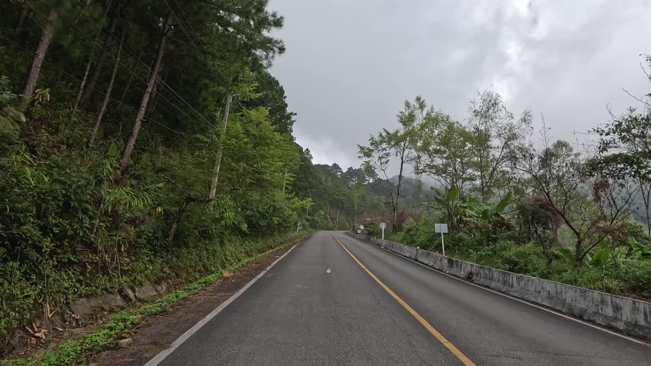 숲 에 둘러싸인 휘어지는 길 을 따라 여행 하는 것