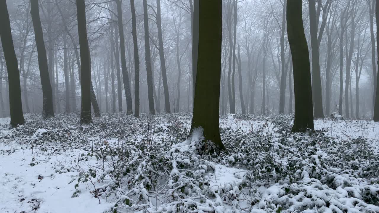 겨울에 눈 덮인 숲에서 걷는 사람들의 그룹을 보여주는 패닝 샷