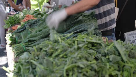 close up restocking vegetables at local farmer street market