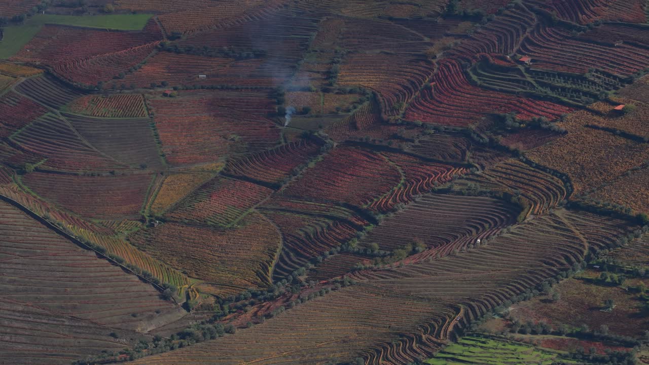 Colourfull vineyards during autumn in Douro Valley
