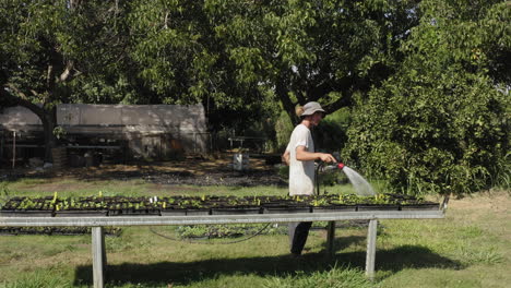 Drone-rotation-around-guy-watering-seedlings-and-vegetables-in-fruitful-garden