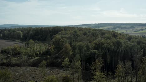 un dron aéreo disparó sobre un hermoso paisaje alemán, bosques, europa
